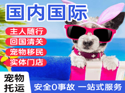 甘孜格萨尔航空邮寄国际宠物托运 【国
